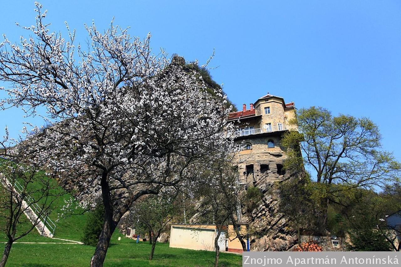 Apartman Antoninska Znojmo Exterior photo